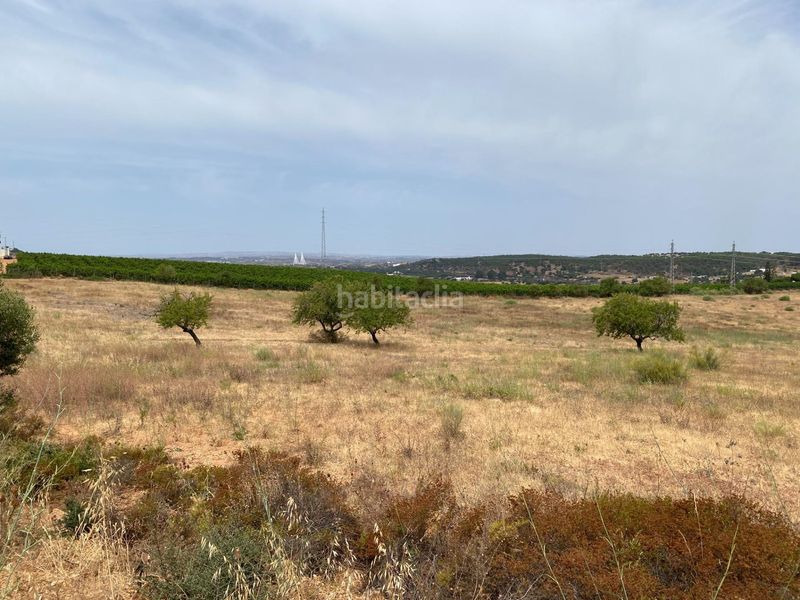 Foto b3bcc308-16e6-44ff-af60-d28ddda1ef5e. Terreny residencial a Ayamonte ciudad Ayamonte