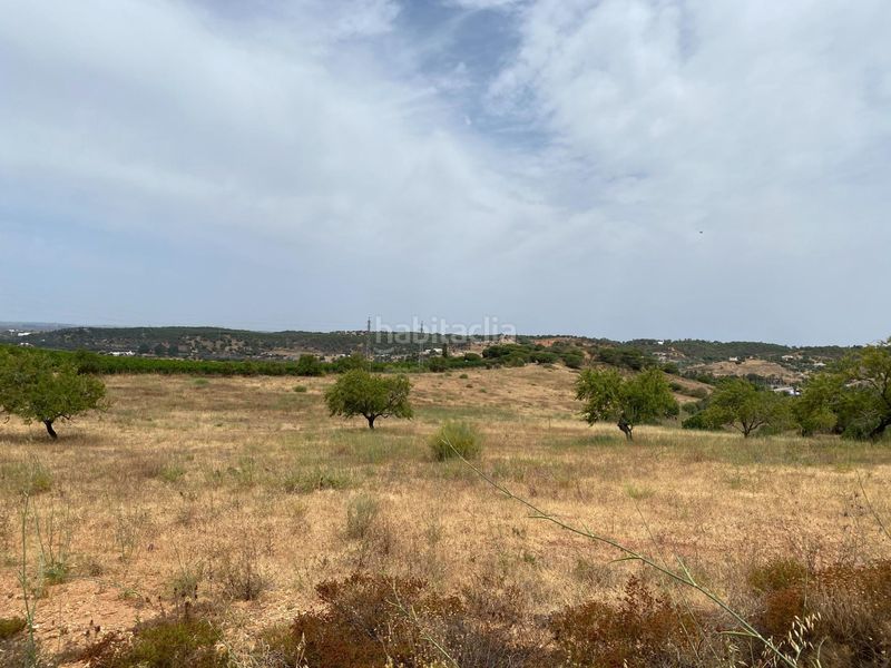 Foto fc6e3668-d2b6-405e-9a31-8091a1f5dfa2. Terreny residencial a Ayamonte ciudad Ayamonte