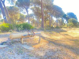 Mas à Gibraleón. Finca rústica de 11.000 m2 en la zona de el rincon, aljaraque.