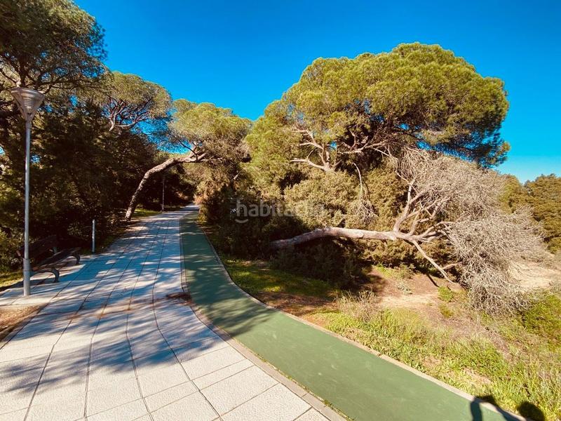 Foto 15b2dab8-42c3-4674-93b6-fffbb7f1464b. Terreny residencial a Núcleo Urbano Aljaraque