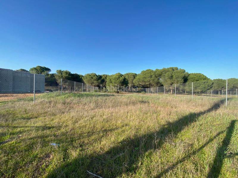 Foto e0729d7d-61d1-47f6-9e7b-f743d57263fb. Terreno residencial en Dehesa - Monacilla Aljaraque