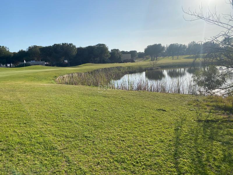 Foto f322a18a-dae9-4e80-a9e9-8510d20bf487. Terreno residencial en Dehesa - Monacilla Aljaraque