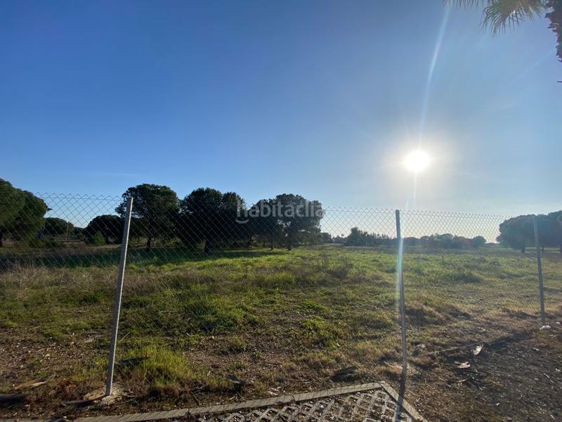 Foto 79ceb2b8-2d99-402b-a8cd-89ae65ec3c45. Terrain résidentiel dans Dehesa - Monacilla Aljaraque