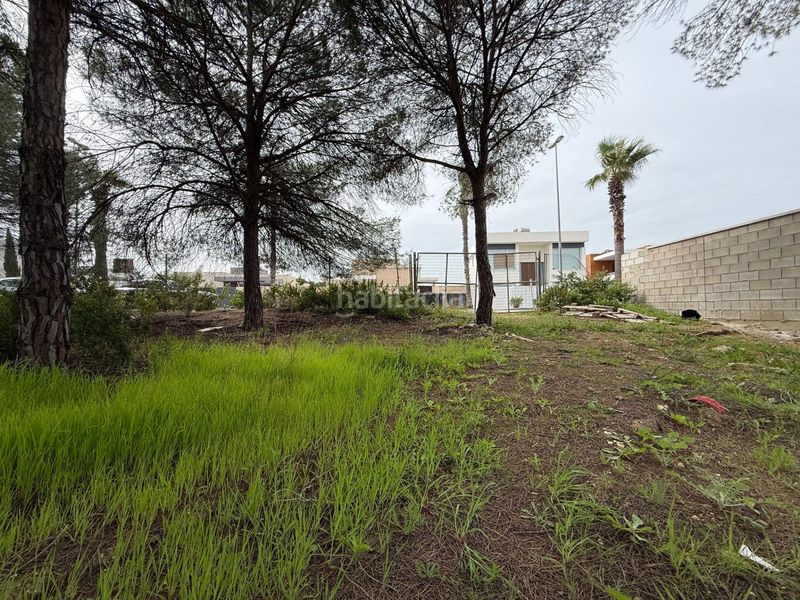 Foto 33d4affd-37fb-41a8-8f89-aa5f9a1d3d2d. Terreny residencial a Dehesa - Monacilla Aljaraque