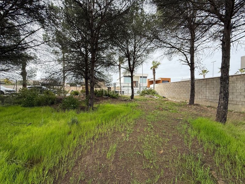 Foto 9f3e2373-8bf0-4b68-8426-ff9165071532. Terreny residencial a Dehesa - Monacilla Aljaraque