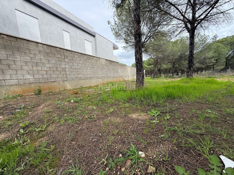 Foto a6f9a32b-3ff9-4e34-9102-e4ec64d521e7. Terreny residencial a Dehesa - Monacilla Aljaraque