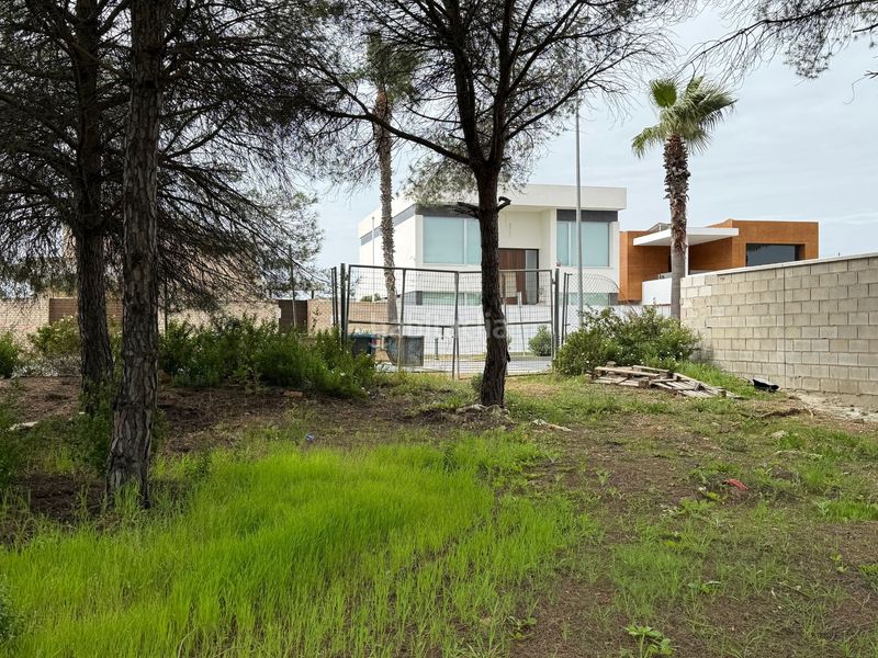 Foto b177c323-62e1-4954-b76c-7288bc7d31af. Terreny residencial a Dehesa - Monacilla Aljaraque