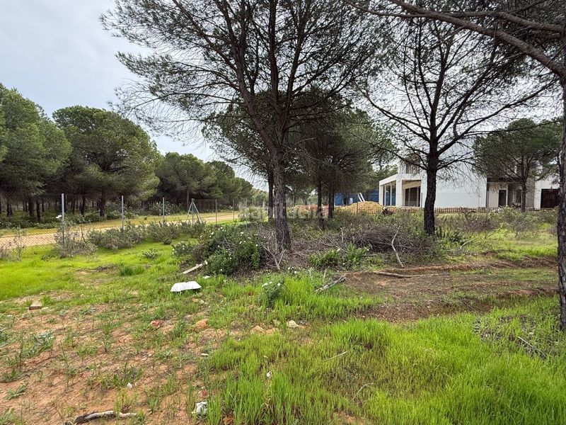 Foto cac1fb24-c39d-4bd8-a1c6-f5a46df40ace. Terreny residencial a Dehesa - Monacilla Aljaraque