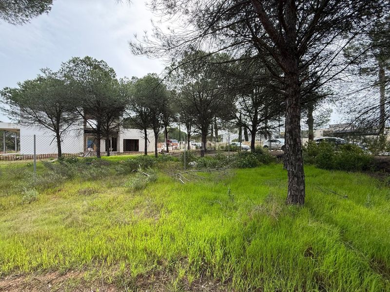 Foto f247da93-f5bb-49fd-a260-ab9a98113413. Terreny residencial a Dehesa - Monacilla Aljaraque