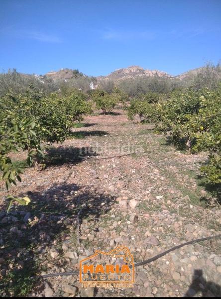 Foto 0ce099c3-ae96-4152-8120-296dc3084242. Propriété dans Campanillas Málaga