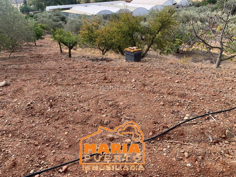 Foto ce55a1ea-b78a-48f0-ad77-7ae62c68684b. Propriété dans Campanillas Málaga