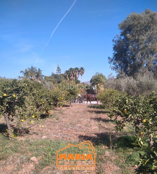 Foto 32e0bf62-68aa-4d3c-85f4-04a9183706dd. Finca rústica a Campanillas Málaga