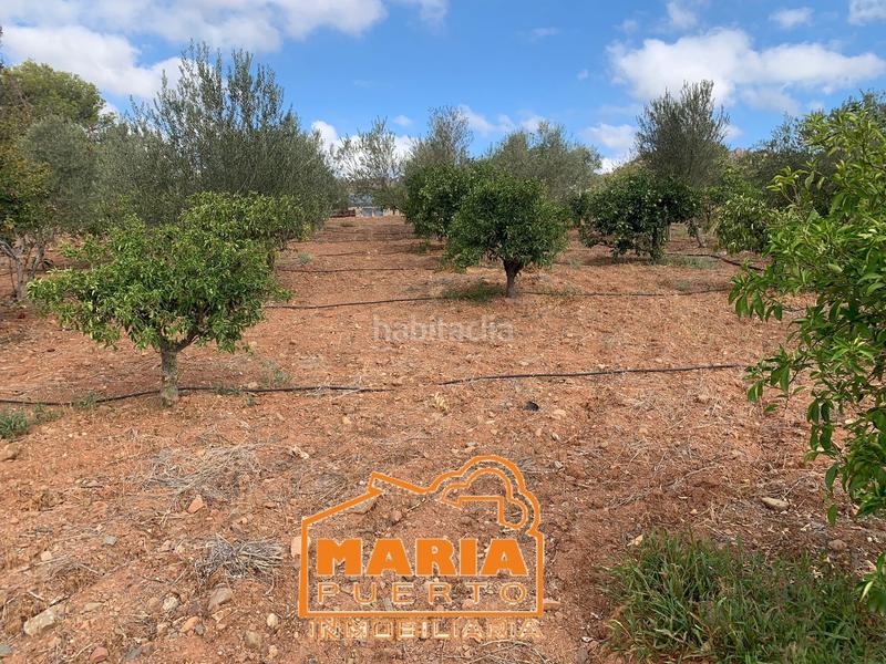 Foto d04aae9b-9bbf-46d5-91b5-8f16cf065f42. Finca rústica a Campanillas Málaga