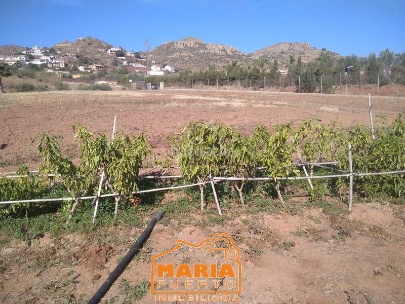 Foto d66f4395-befb-4e2e-9d51-aa4395999613. Finca rústica a Campanillas Málaga