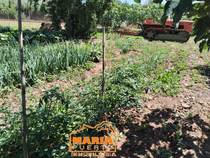 Foto 1531b905-5dfc-4109-a602-1736a1f92d8f. Finca rústica en Campanillas Málaga