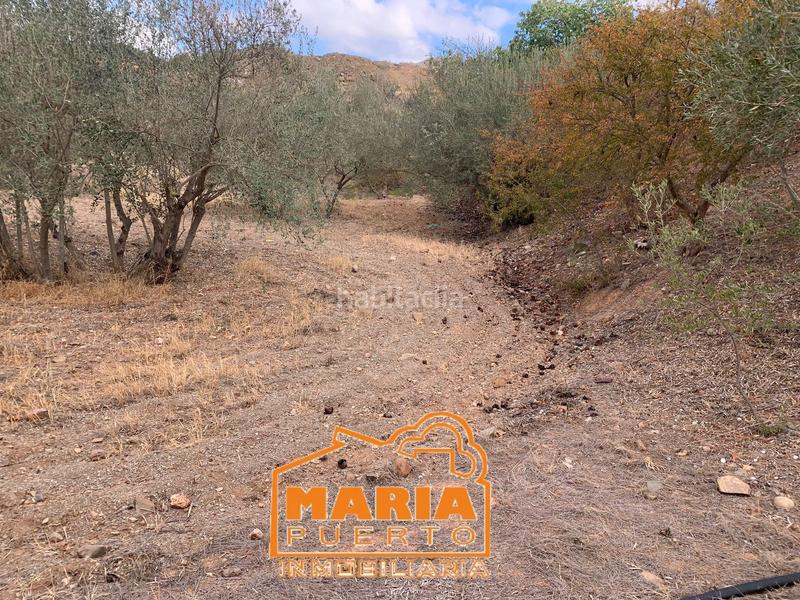 Foto a8d43b59-7051-4b1f-a010-34c28595a607. Finca rústica en Campanillas Málaga