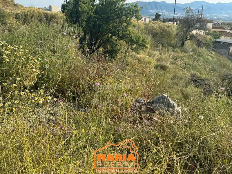Foto ac54c994-9f7d-4427-a18b-e3d97e4b2ddf. Terreno residencial parcela en el puerto de la torre en Málaga