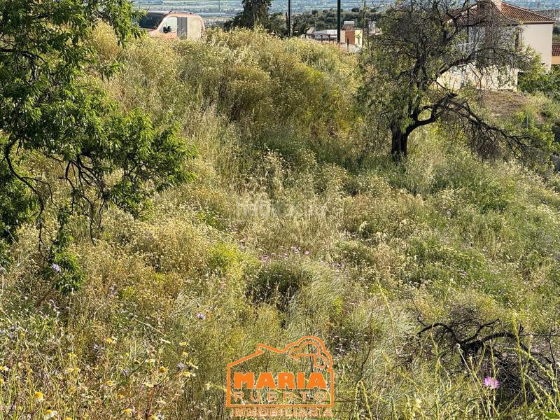 Foto d52725a2-6e57-41e6-af36-f32554361ce0. Terreno residencial parcela en el puerto de la torre en Málaga