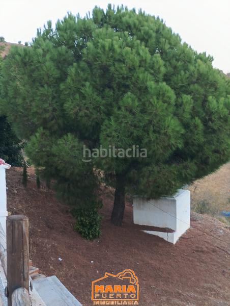 Foto 517f57dc-055d-4492-ac12-de62a3bf5764. Masía finca rústica con casa en Almogía