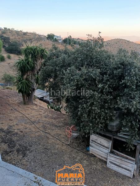 Foto 91c5a5a2-47ec-44cd-b3ee-923d47787f59. Masía finca rústica con casa en Almogía