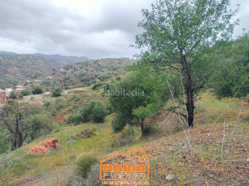 Foto 932ac495-c7b3-42d2-9701-29b06dfce491. Finca rústica a Campanillas Málaga