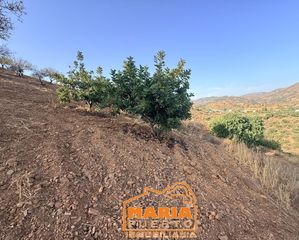 Finca rústica a Almogía