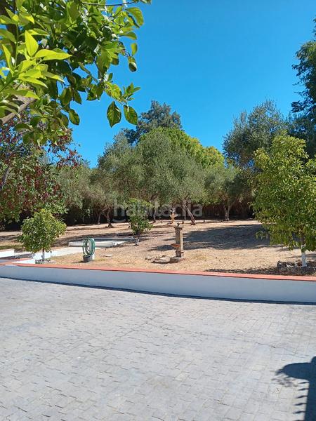 Foto 1efc0c7e-91fe-4a11-97e2-20711530a671. Miete chalet mit parking pool in Sanlúcar la Mayor