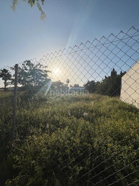 Foto 7fcf31ee-6977-4143-8115-a3910a4ee12b. Terrain résidentiel dans calle almez 12 dans Almensilla