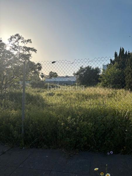 Foto 91bbb3e7-a675-49a9-9c3c-73c3943b5e70. Terrain résidentiel dans calle almez 12 dans Almensilla