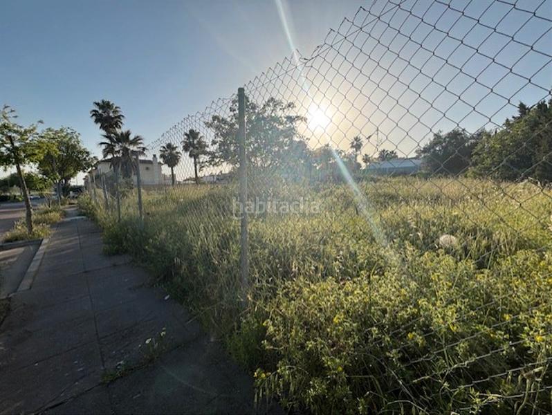Foto d54137c0-b6eb-4816-a023-2ad1ac0f1a03. Terrain résidentiel dans calle almez 12 dans Almensilla