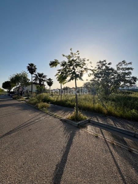 Foto f13b1ca9-839c-4c1e-8ec9-121d32d6643f. Terrain résidentiel dans calle almez 12 dans Almensilla