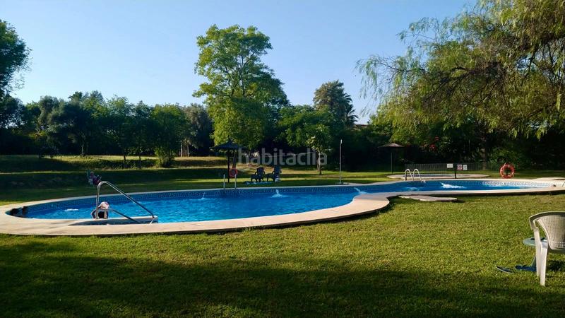 Foto a599d877-6e02-4090-bc27-c6ea32cf19a3. Terreno residencial en calle aliso 1 terreno urbano . sevilla. en Almensilla