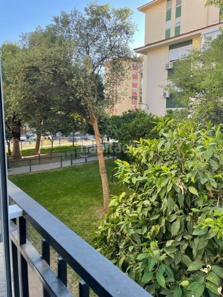 Foto 96974665-33b1-48ce-ae21-e9f193e5c25d. Rent flat in Parque Alcosa Sevilla
