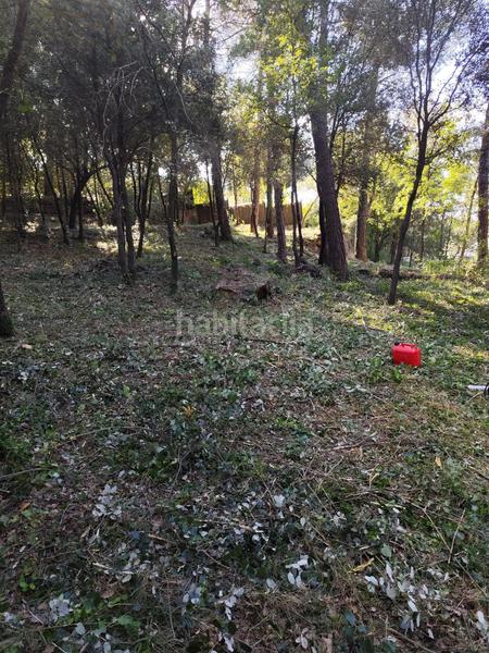 Foto 0eae2071-e0e3-46cf-ad68-4bd5f5e26a98. Terreny residencial a Seva