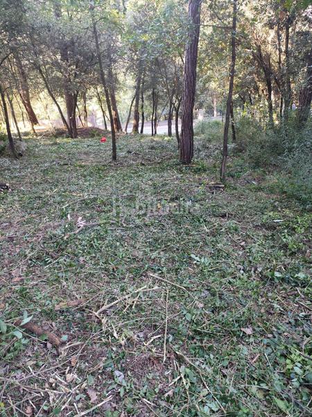 Foto 815cfc4c-3cb6-4ec4-85b2-f26d02c75424. Terreny residencial a Seva