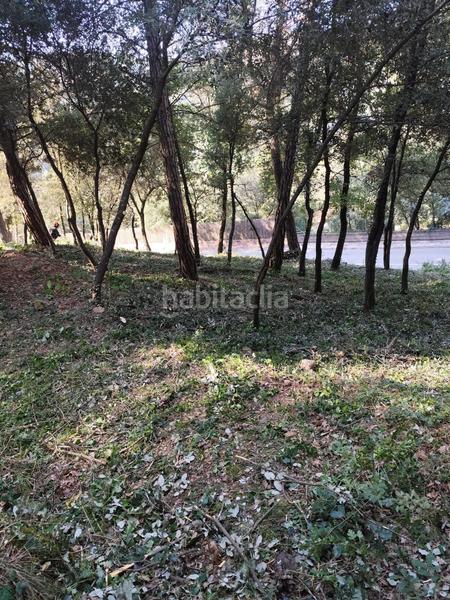 Foto d8357a94-4c13-4e75-9718-9ec82fa7f7d9. Terreny residencial a Seva