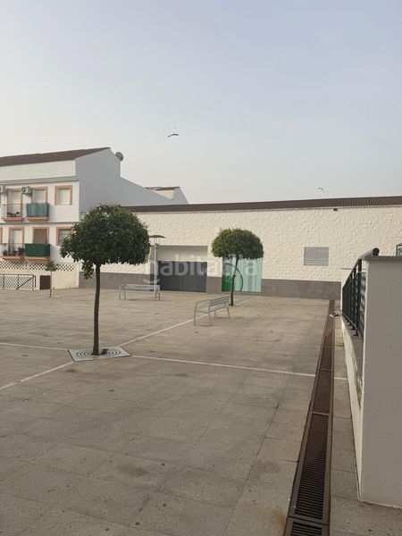 Foto b15fdaca-5176-49d1-9f4b-eac2e3f15f72. Pis a Gibraleón