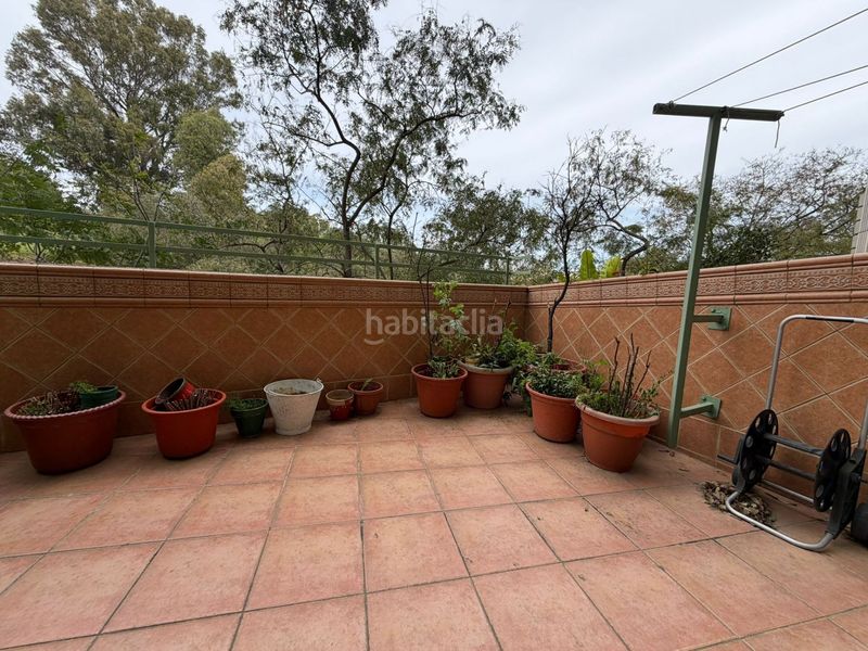 Foto cb64d73f-8d0b-4427-97b1-9fa6fbb2e283. Pis a Centro Huelva