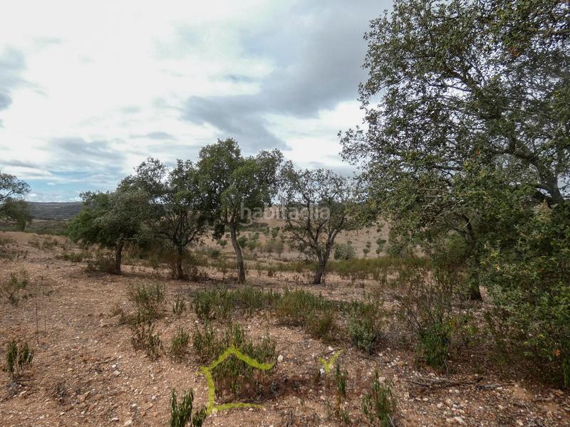 Foto f51b1840-9c68-4659-84b2-3295a1a54071. Mas dans Tharsis