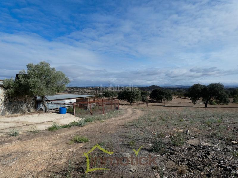 Foto 808a9d53-898d-4c4d-aa6c-4d95ac5b116c. Fondo rustico in Tharsis