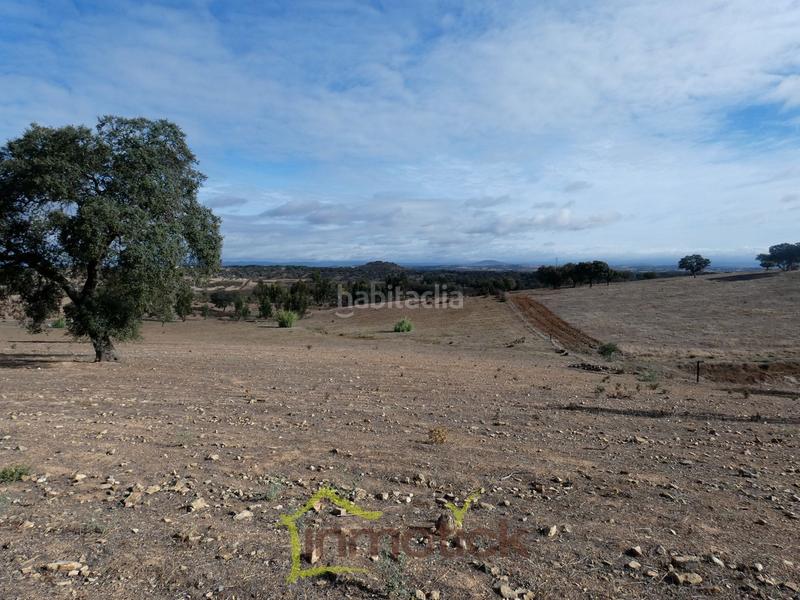 Foto 944d8ac5-4d8d-4fc1-9868-62bbaa17b02f. Fondo rustico in Tharsis