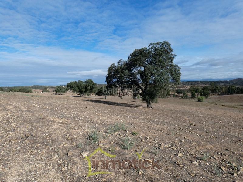 Foto 9e8ca404-1d81-4dd6-9463-c1412edf1bc8. Fondo rustico in Tharsis