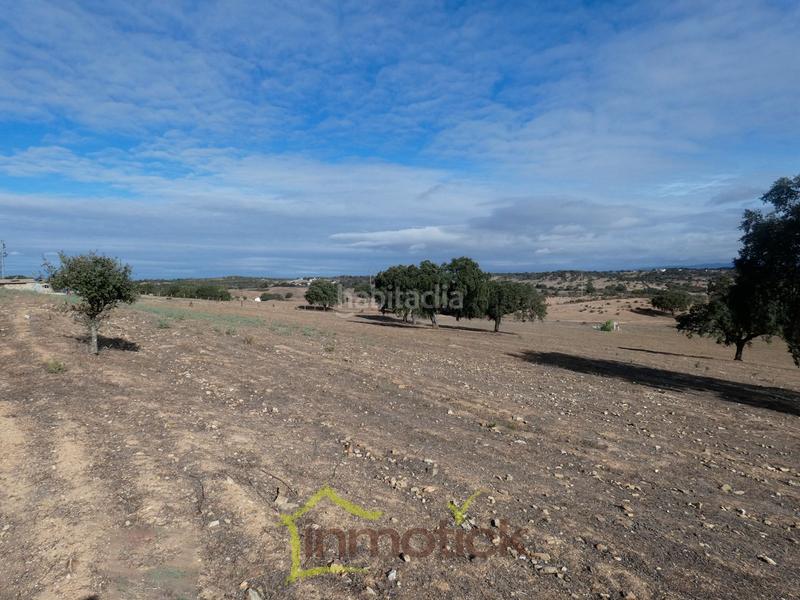 Foto ff39f104-5e74-4ce6-bb4c-7d1878eb25ed. Fondo rustico in Tharsis