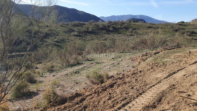 Foto 669d1f59-6bfe-49c1-9ae1-6432e9cf6ef1. Fondo rustico in calle santa ana 36 in Cártama