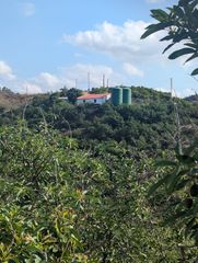 Fondo rustico in N/a. Finca de aguacates en producción con pozo propio, nave agrícola