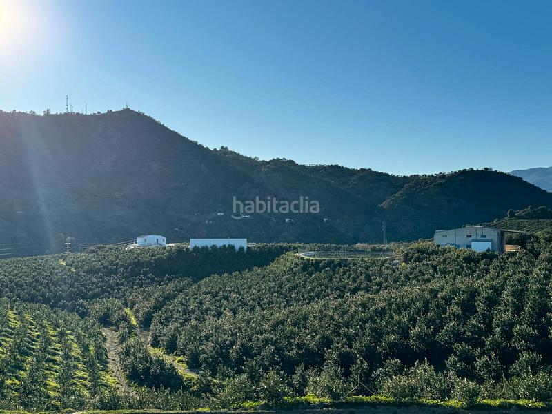 Foto 34eb6438-ec26-4c3a-91fa-91158818392e. Casale in Pizarra