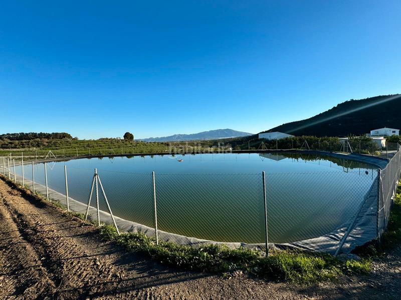 Foto 5dc58e37-88b8-4564-b530-a737a64df1b2. Casale in Pizarra