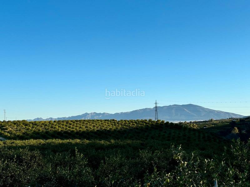 Foto 687e1dee-c04a-414d-a85c-cab0a8f4ad3c. Casale in Pizarra