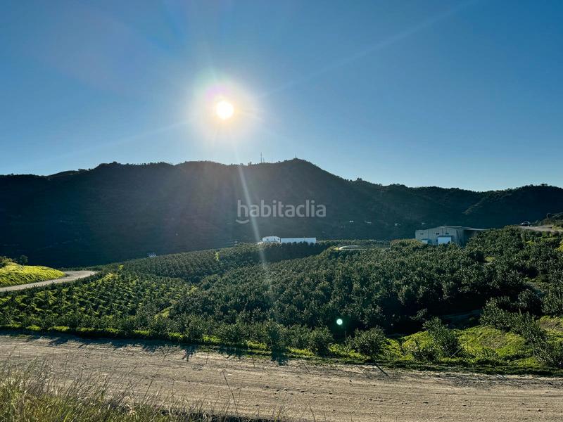 Foto 7024de3f-4f93-48d3-a83c-793b3c135515. Casale in Pizarra