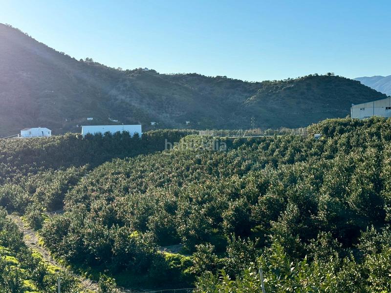 Foto 91d547a1-097f-4ecf-9f21-0a0b79d29843. Casale in Pizarra